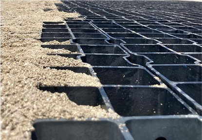 Bio-Waldboden Kategorie